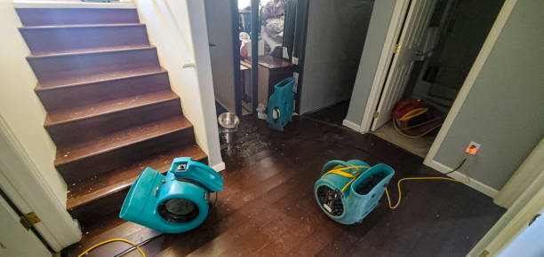 Best Emergency water damage restoration  in South Alamo, TX