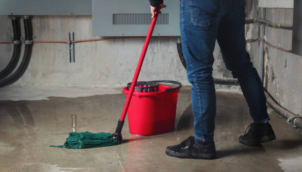 Best Mold removal after water damage  in South Alamo, TX