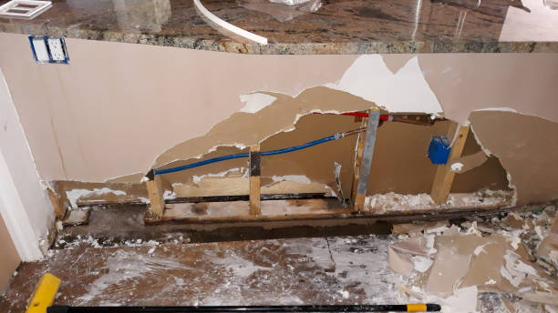 Best Basement water damage restoration  in South Alamo, TX