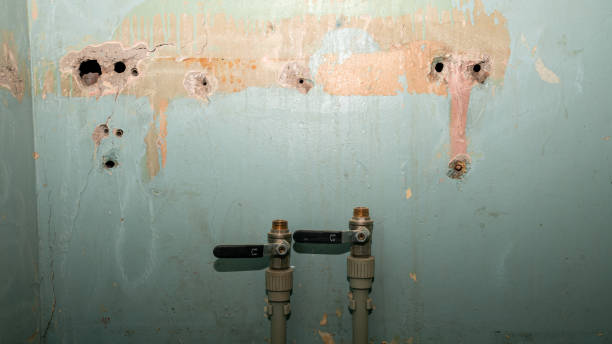 Best Flooded house restoration  in South Alamo, TX
