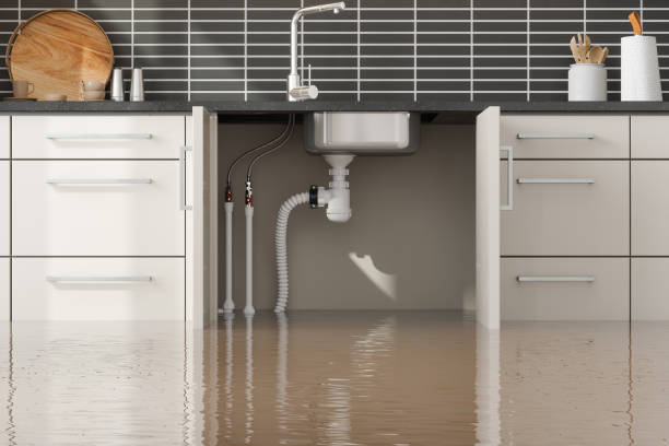 Best Water damage cleanup near me  in South Alamo, TX