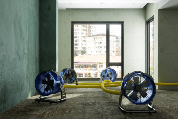 Best Ceiling water damage repair  in South Alamo, TX