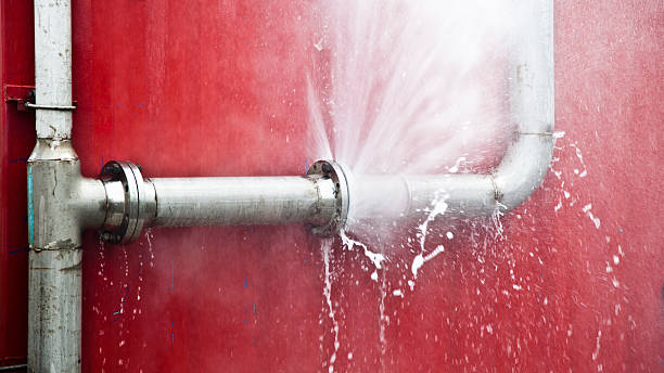 Best 24/7 water damage repair  in South Alamo, TX